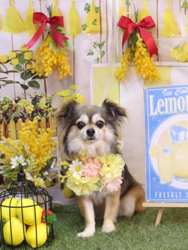 20240427あもちゃん